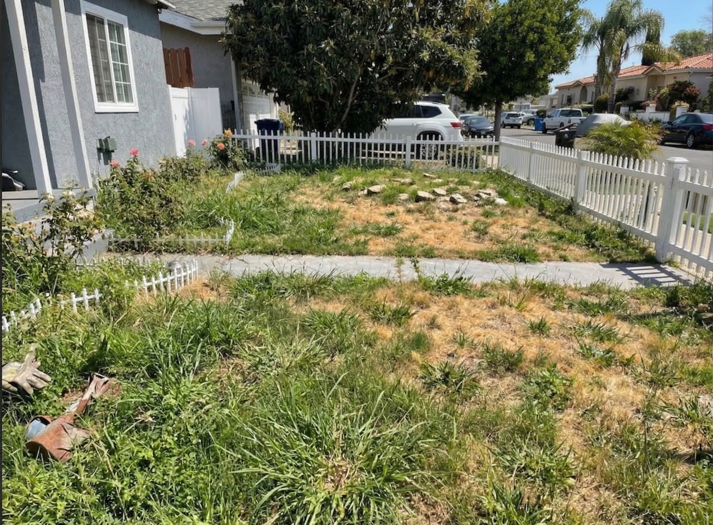 Before Transformation