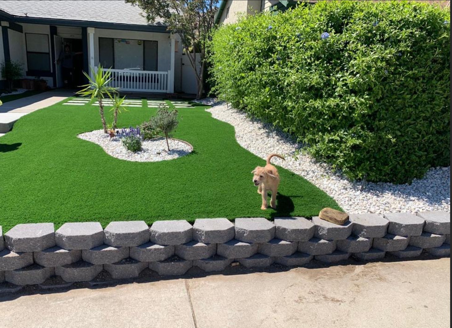 Project Portfolio Snapshot