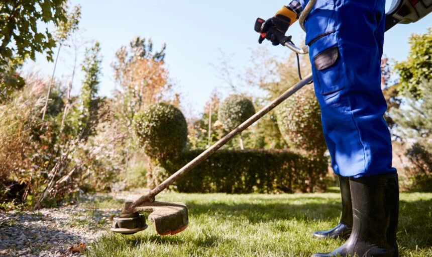 Gardener with weedwacker cutting the grass in the garden
